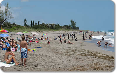 Hobe Sound Beach, Jupiter Island FLA